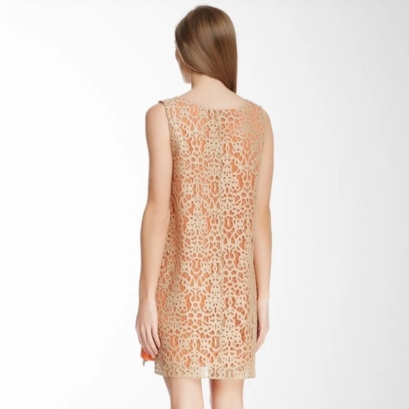 Robert Rodriguez Dress Women's Size 2 Orange Silk Crochet Lace Sleeveless $498 - Picture 2 of 10